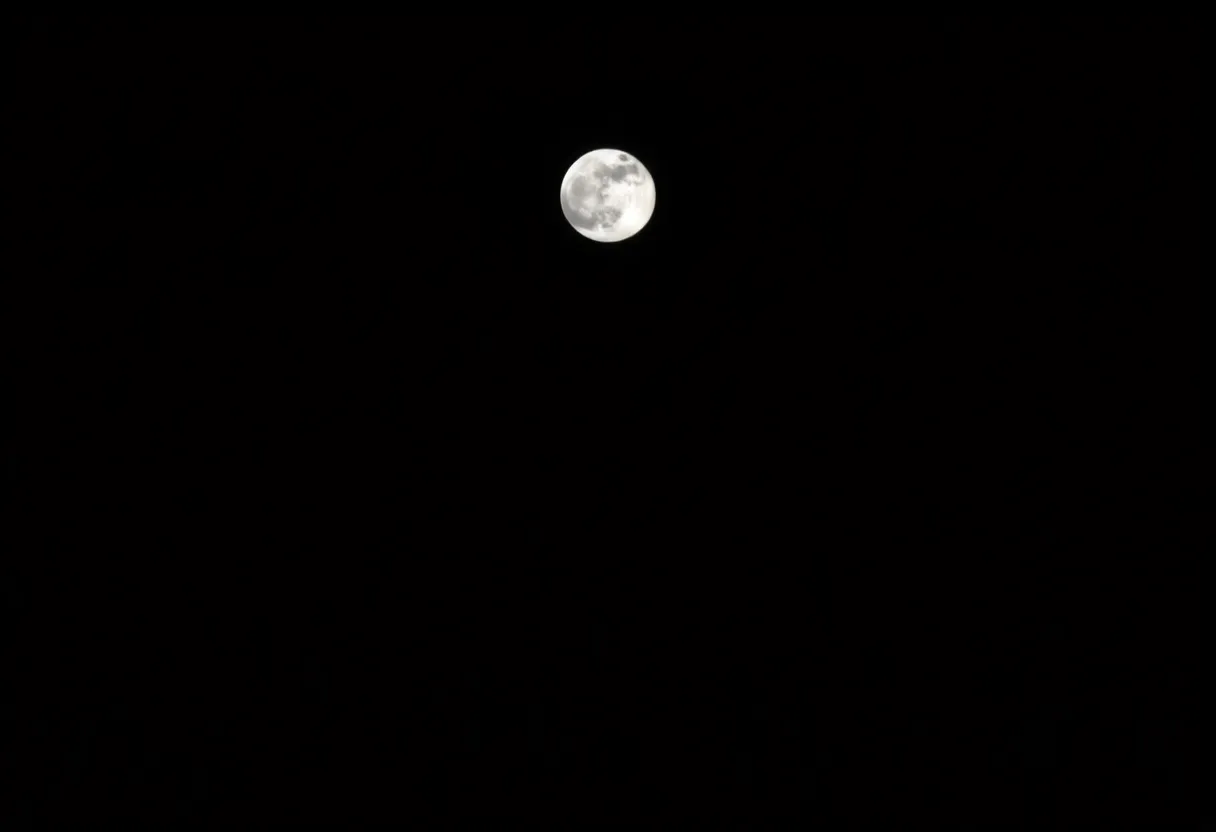 Black and white full moon
